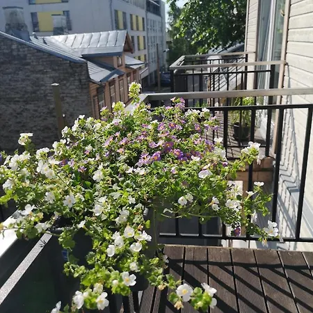Cozy Little City Penthouse With Terrace And Free Parking Lejlighed Tallinn