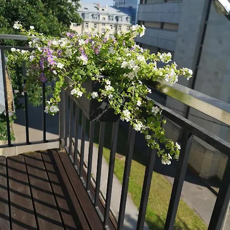 Cozy Little City Penthouse With Terrace And Free Parking