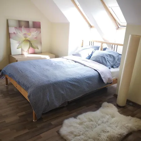 Cozy Little City Penthouse With Terrace And Free Parking *