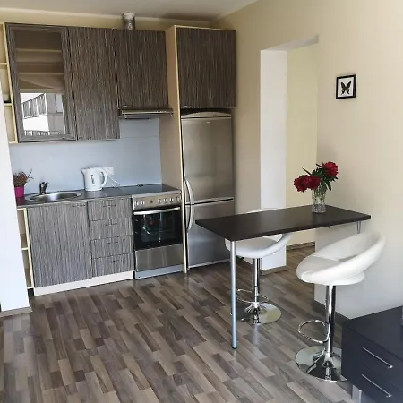 Cozy Little City Penthouse With Terrace And Free Parking Apartmán Tallinn